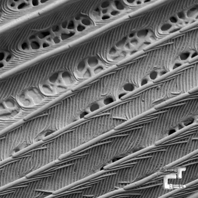 Wherever EP (printed sleeve / coloured vinyl)